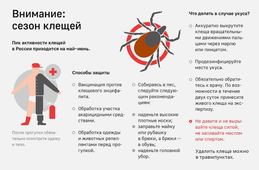 Роспотребнадзор мониторит эпидемиологическую ситуацию по инфекциям, передающимся с укусами клещей..