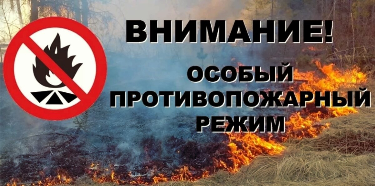 Особый противопожарный режим начал действовать в Воронежской области.