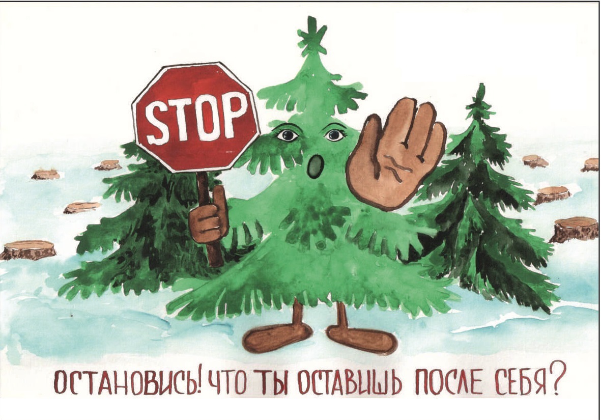 В период с 15 по 31 декабря 2024 года в Воронежской области пройдет акция &quot;Операция Ель&quot;.