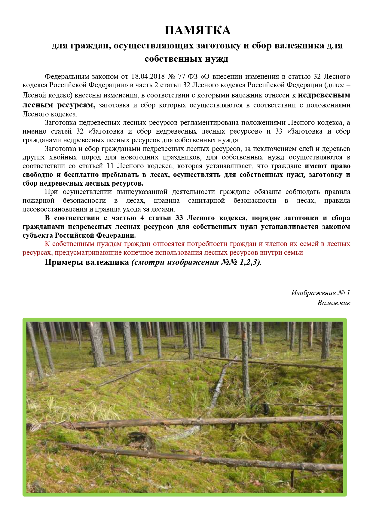 ПАМЯТКА для граждан, осуществляющих заготовку и сбор валежника для собственных нужд.