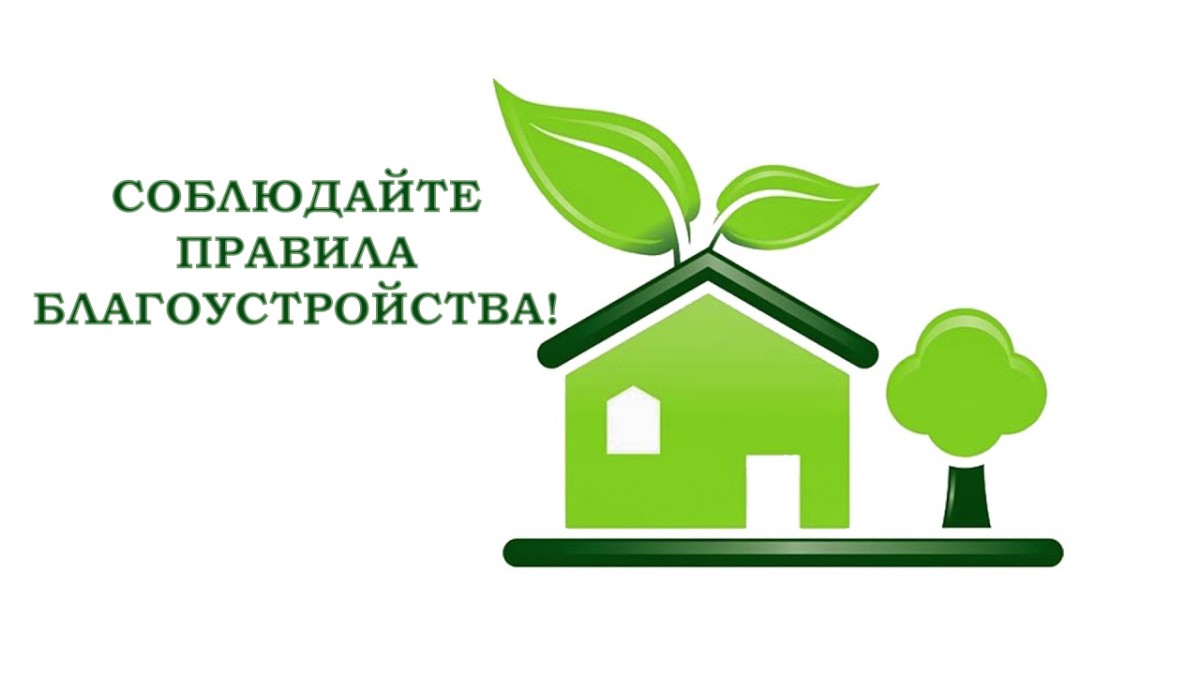 Правила благоустройства.